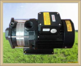 750w火花機抽油泵 惠州市惠城區(qū)固特機械設備廠